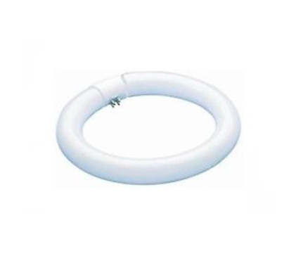 T-9 Tube Fluorescent Circular Daylight 22W Westinghouse