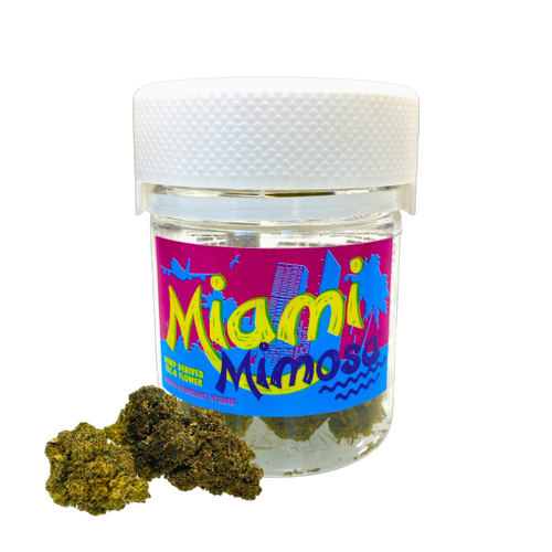 TH Flower Miami Mimosa LF.89348 Sativa-Dominant Hybrid 3.5 gr