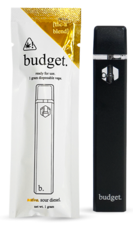 Budget THC-A Blend Disposable Vape Micro-USB Recharging Port 1 Gram